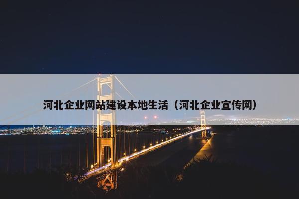 河北企业网站建设本地生活（河北企业宣传网）