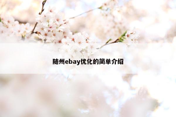 随州ebay优化的简单介绍