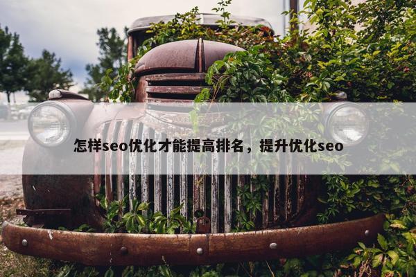 怎样seo优化才能提高排名，提升优化seo