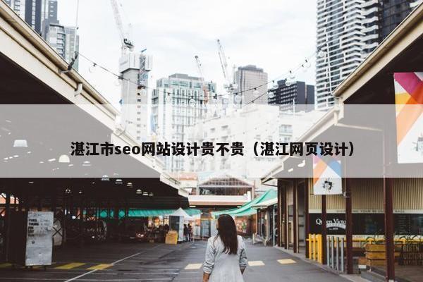 湛江市seo网站设计贵不贵（湛江网页设计）