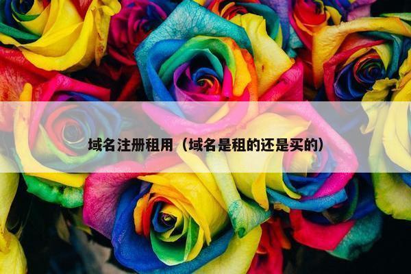 域名注册租用（域名是租的还是买的）