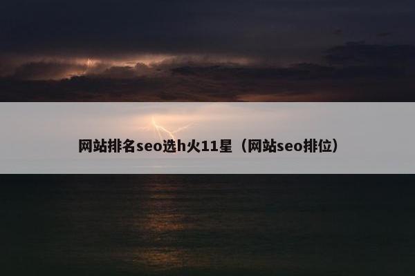 网站排名seo选h火11星（网站seo排位）