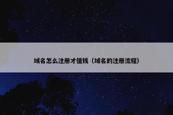 域名怎么注册才值钱（域名的注册流程）
