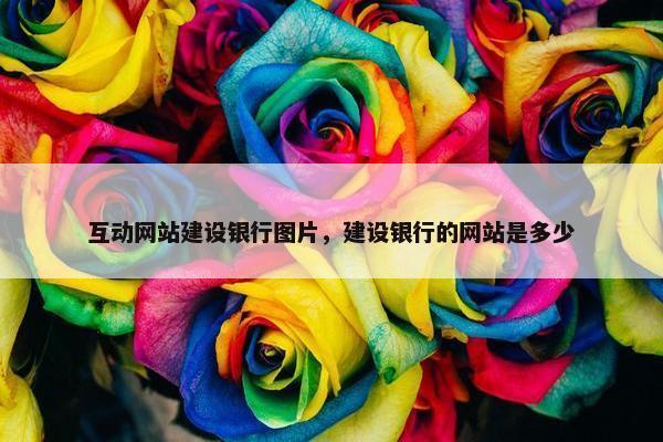 互动网站建设银行图片，建设银行的网站是多少