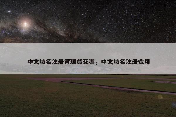 中文域名注册管理费交哪，中文域名注册费用