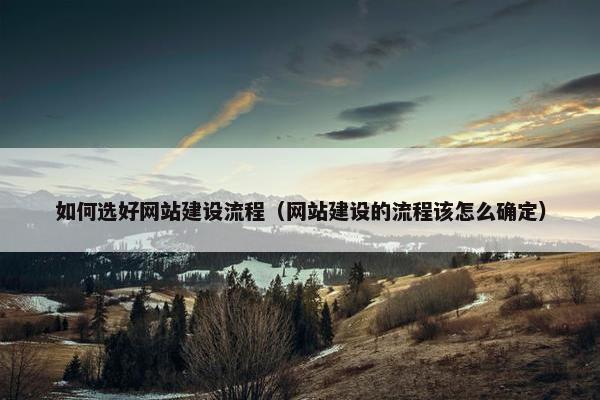 如何选好网站建设流程（网站建设的流程该怎么确定）