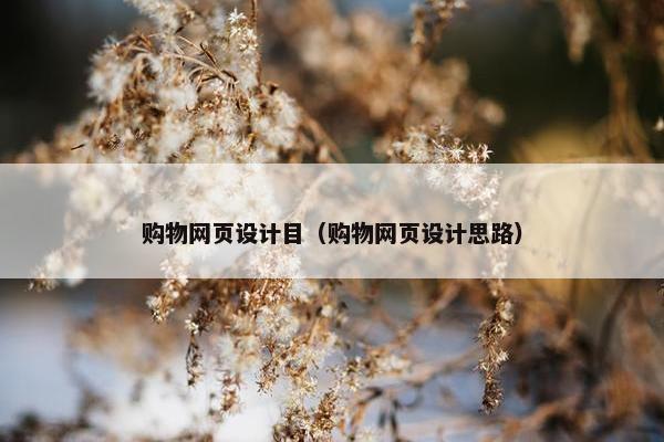 购物网页设计目（购物网页设计思路）