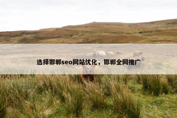 选择邯郸seo网站优化，邯郸全网推广