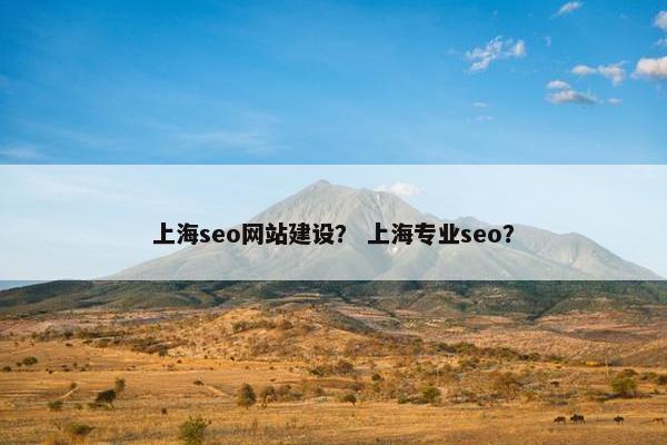 上海seo网站建设？ 上海专业seo？