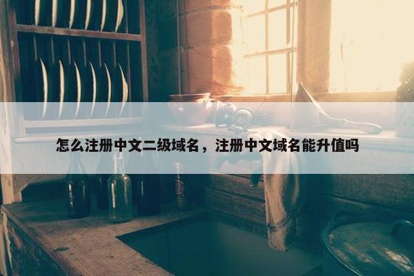 怎么注册中文二级域名，注册中文域名能升值吗