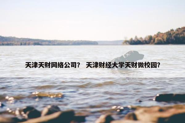 天津天财网络公司？ 天津财经大学天财微校园？