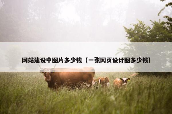 网站建设中图片多少钱（一张网页设计图多少钱）