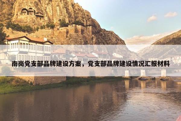南岗党支部品牌建设方案，党支部品牌建设情况汇报材料