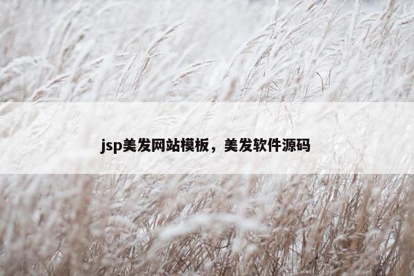 jsp美发网站模板，美发软件源码