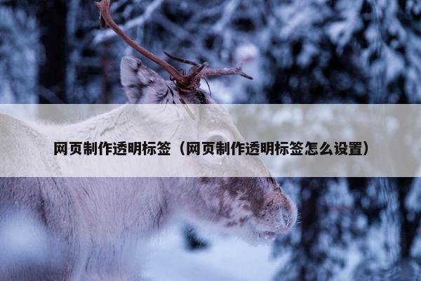 网页制作透明标签（网页制作透明标签怎么设置）