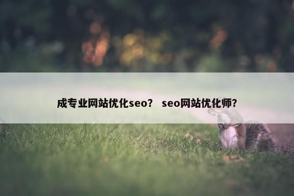 成专业网站优化seo？ seo网站优化师？