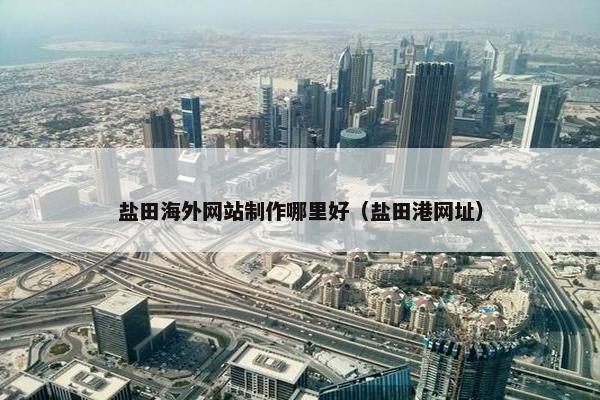 盐田海外网站制作哪里好（盐田港网址）