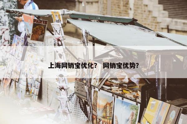 上海网销宝优化？ 网销宝优势？
