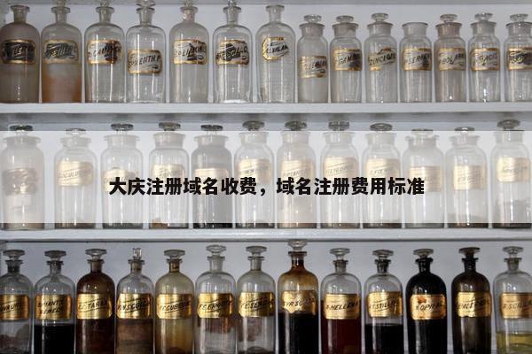 大庆注册域名收费，域名注册费用标准