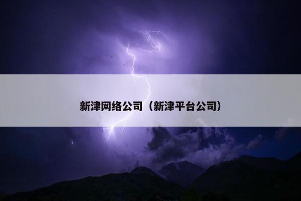 新津网络公司（新津平台公司）