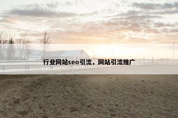 行业网站seo引流，网站引流推广