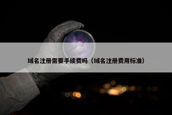 域名注册需要手续费吗（域名注册费用标准）