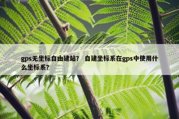 gps无坐标自由建站？ 自建坐标系在gps中使用什么坐标系？