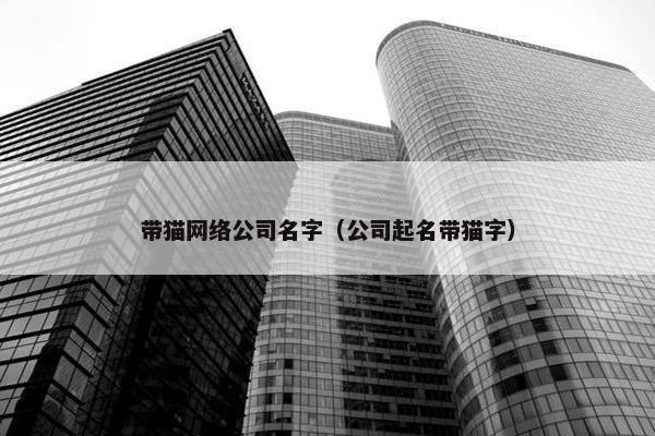 带猫网络公司名字（公司起名带猫字）