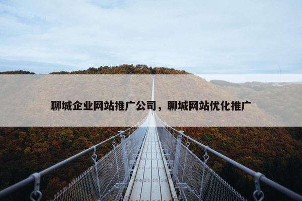 聊城企业网站推广公司，聊城网站优化推广