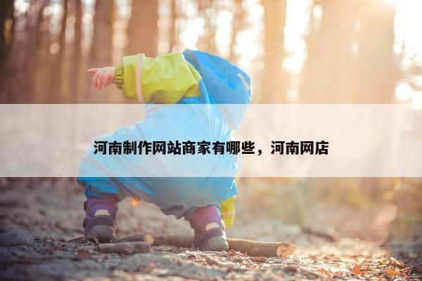 河南制作网站商家有哪些，河南网店