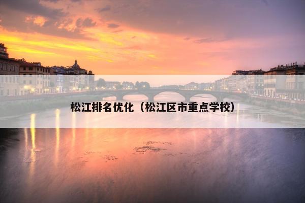 松江排名优化（松江区市重点学校）