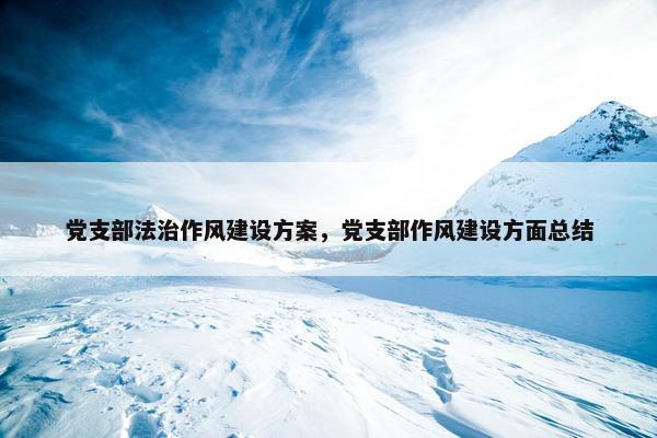 党支部法治作风建设方案，党支部作风建设方面总结