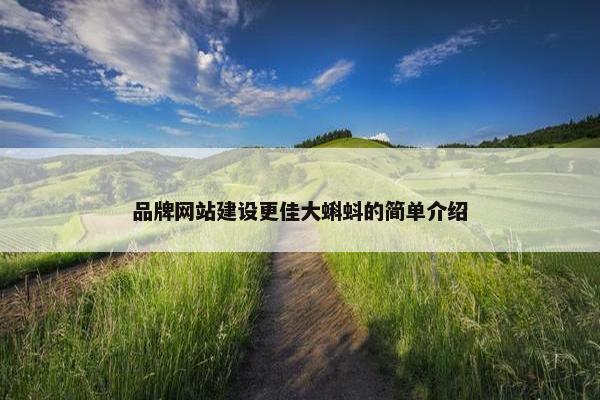品牌网站建设更佳大蝌蚪的简单介绍