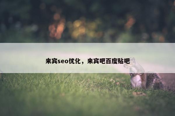 来宾seo优化，来宾吧百度贴吧