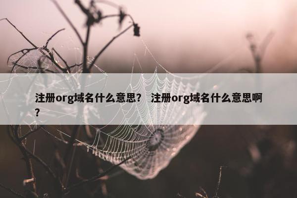 注册org域名什么意思？ 注册org域名什么意思啊？