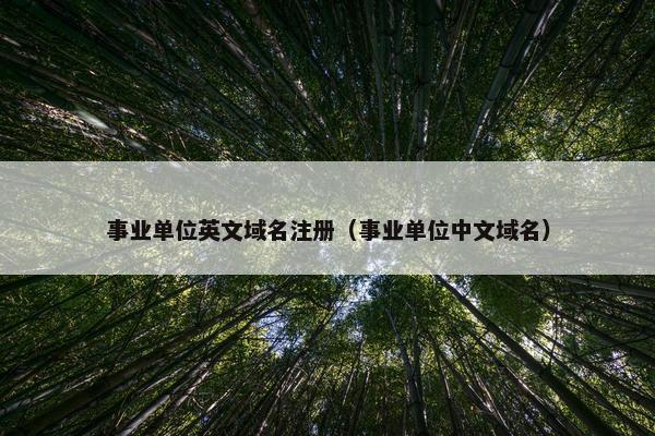 事业单位英文域名注册（事业单位中文域名）