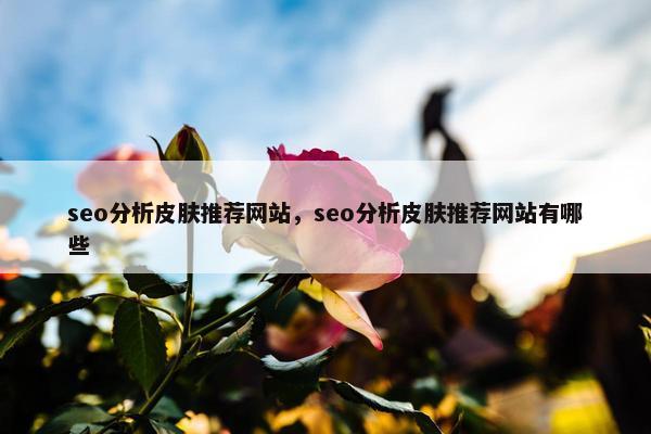 seo分析皮肤推荐网站，seo分析皮肤推荐网站有哪些