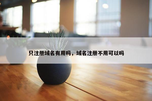 只注册域名有用吗，域名注册不用可以吗