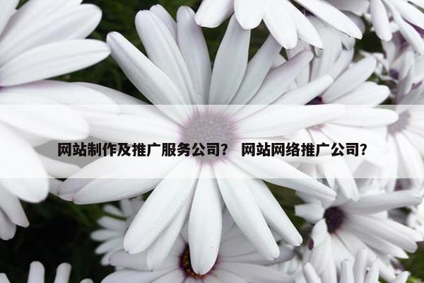 网站制作及推广服务公司？ 网站网络推广公司？
