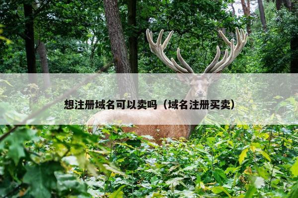 想注册域名可以卖吗（域名注册买卖）