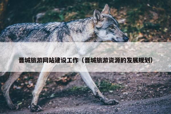 晋城旅游网站建设工作（晋城旅游资源的发展规划）
