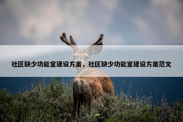 社区缺少功能室建设方案，社区缺少功能室建设方案范文