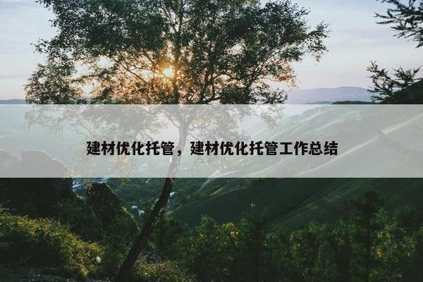 建材优化托管，建材优化托管工作总结