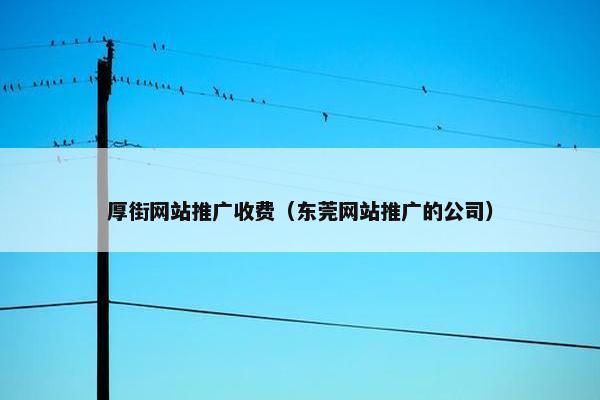 厚街网站推广收费（东莞网站推广的公司）