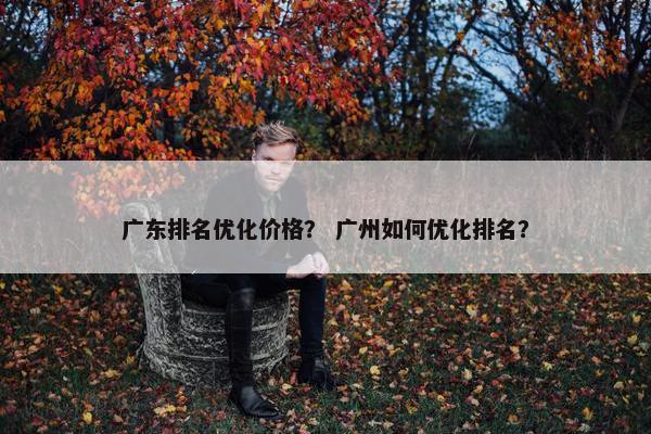 广东排名优化价格？ 广州如何优化排名？