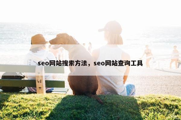 seo网站搜索方法，seo网站查询工具