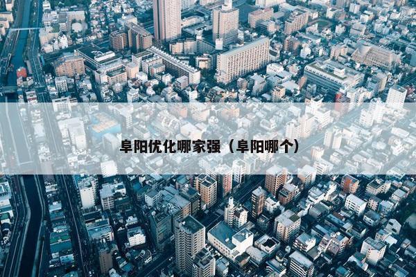 阜阳优化哪家强（阜阳哪个）