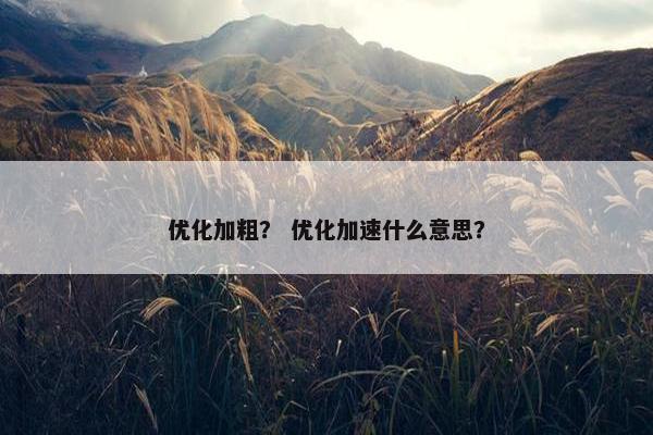 优化加粗？ 优化加速什么意思？