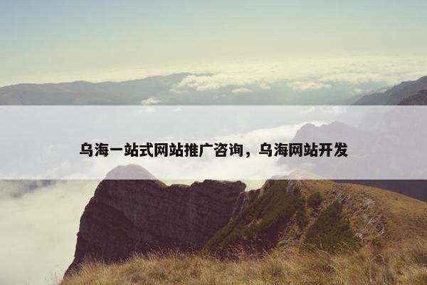 乌海一站式网站推广咨询，乌海网站开发
