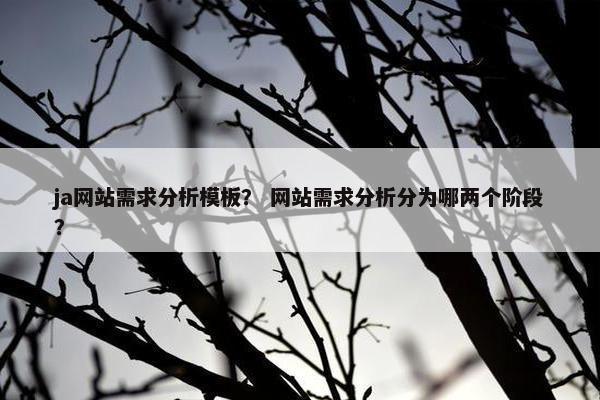 ja网站需求分析模板？ 网站需求分析分为哪两个阶段？